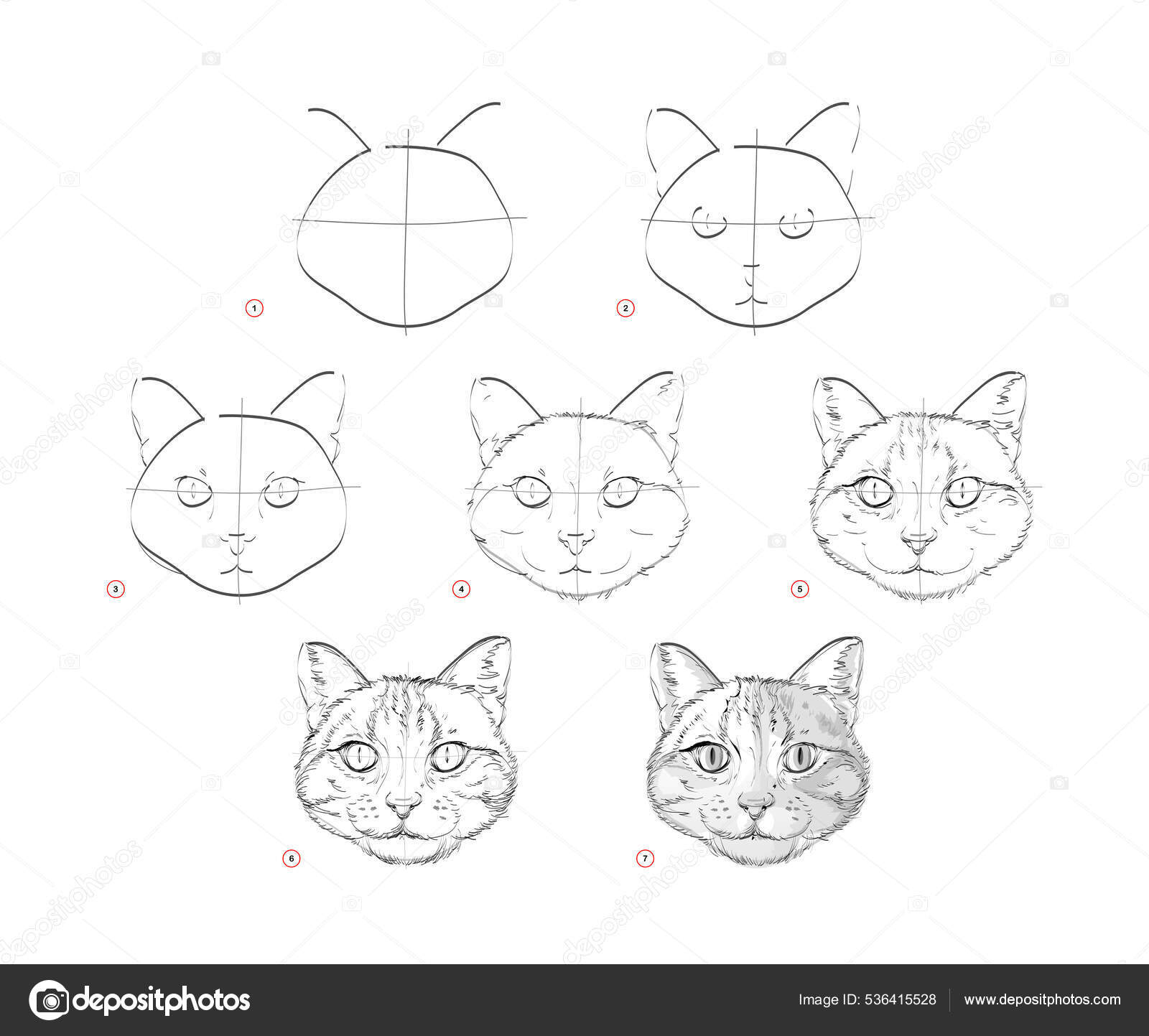 Página Mostra Como Aprender Desenhar Esboço Cabeça Gatos Criação Passo  imagem vetorial de Nataljacernecka© 536415528
